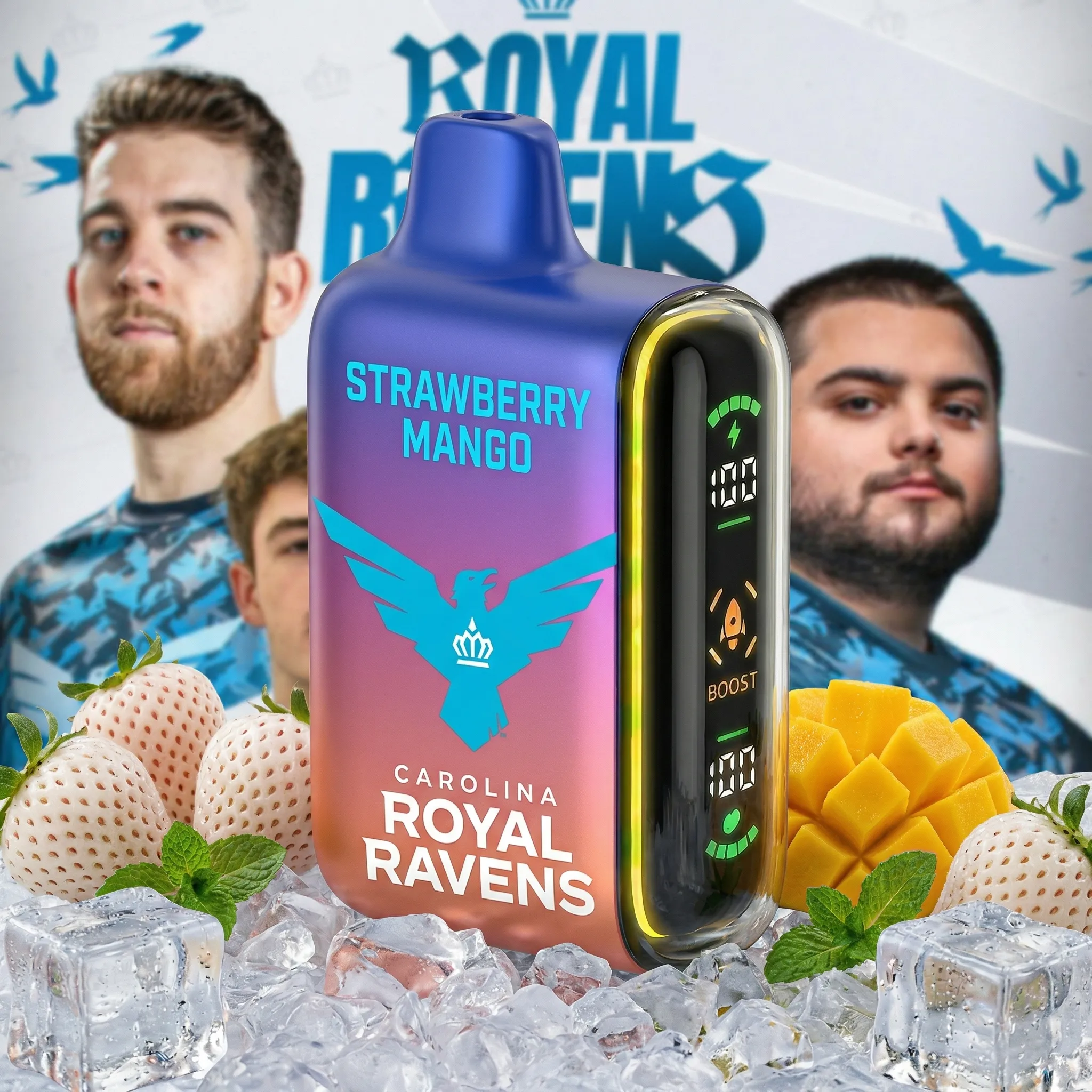 Carolina Royal Ravens team - 🔥InkSkin Pulse 15000 Puffs new - 10+ Flavour Choices 🍇🍉🍋